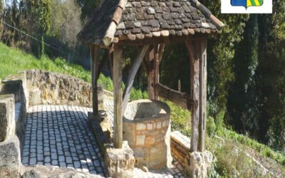 Bulletin de Saint-Martin n°7